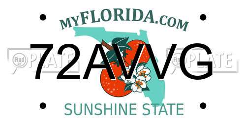 72AVVG Florida License Plate