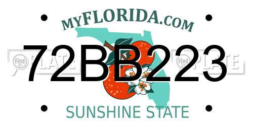 72BB223 Florida License Plate
