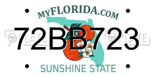 72BB723 Florida License Plate