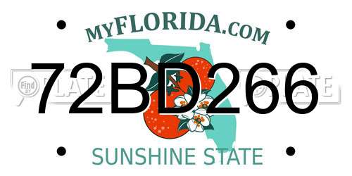 72BD266 Florida License Plate