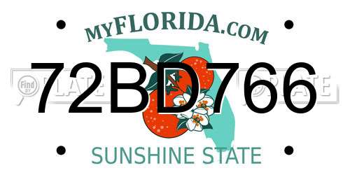 72BD766 Florida License Plate