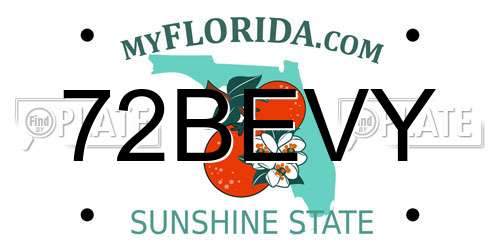 72BEVY Florida License Plate