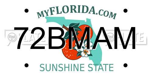 72BMAM Florida License Plate