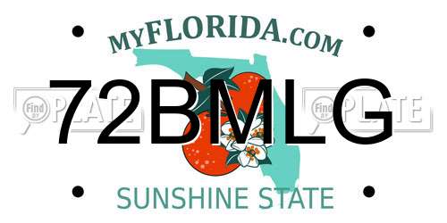 72BMLG Florida License Plate