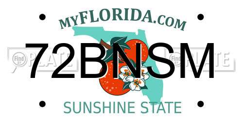 72BNSM Florida License Plate
