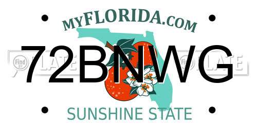 72BNWG Florida License Plate