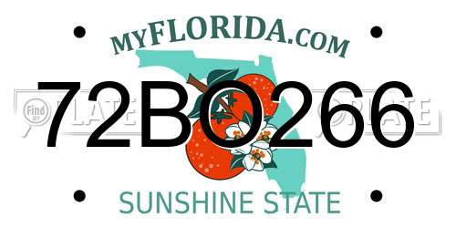 72BO266 Florida License Plate