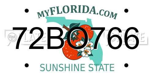 72BO766 Florida License Plate