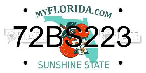 72BS223 Florida License Plate