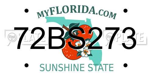 72BS273 Florida License Plate