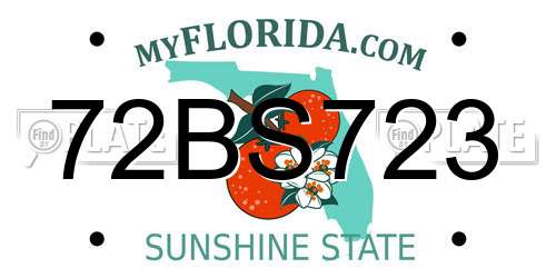 72BS723 Florida License Plate