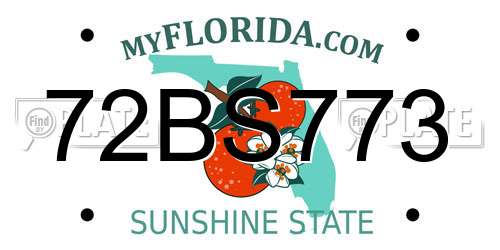 72BS773 Florida License Plate