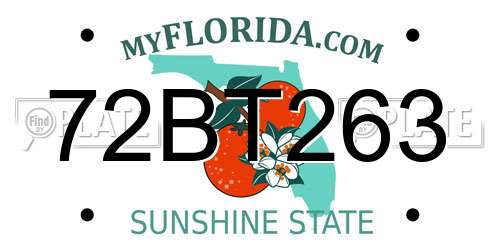 72BT263 Florida License Plate