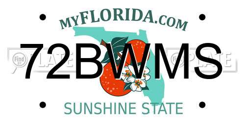 72BWMS Florida License Plate
