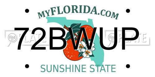72BWUP Florida License Plate