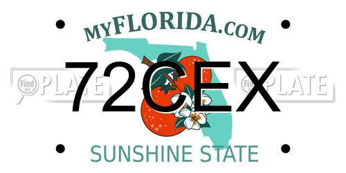 72CEX Florida License Plate
