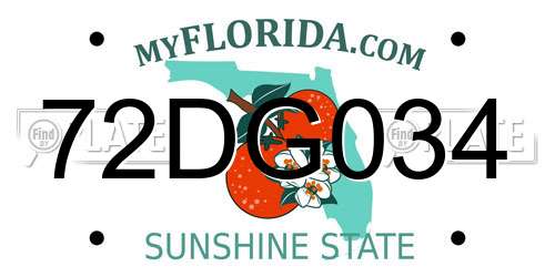 72DG034 Florida License Plate