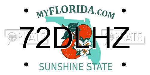 72DLHZ Florida License Plate