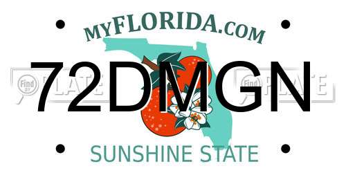 72DMGN Florida License Plate