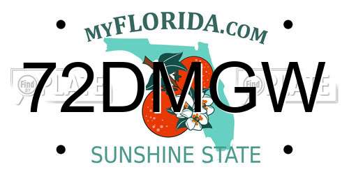 72DMGW Florida License Plate