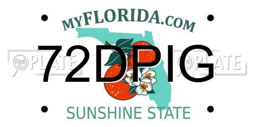 72DPIG Florida License Plate