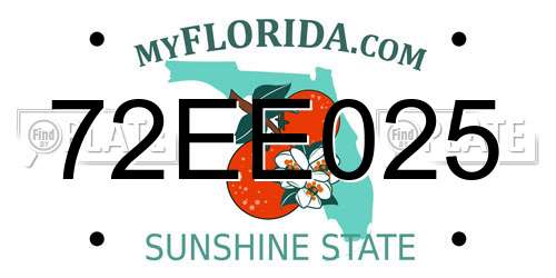 72EE025 Florida License Plate