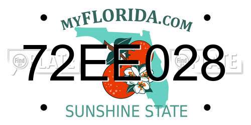 72EE028 Florida License Plate