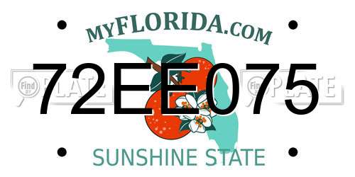 72EE075 Florida License Plate
