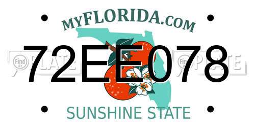 72EE078 Florida License Plate
