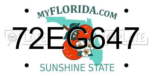 72EG647 Florida License Plate