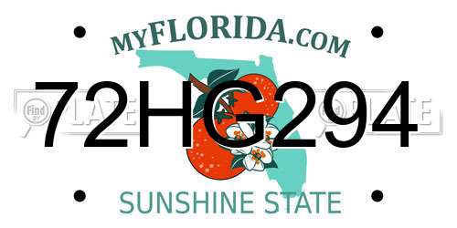 72HG294 Florida License Plate