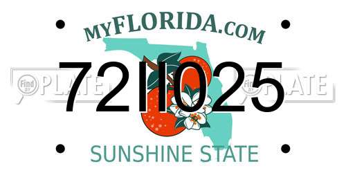 72II025 Florida License Plate
