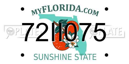 72II075 Florida License Plate