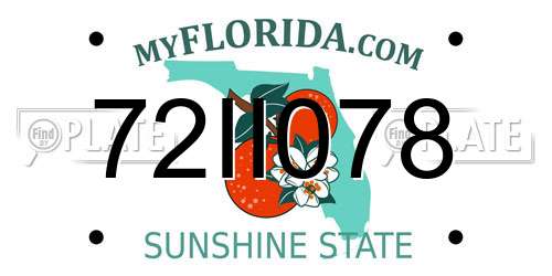 72II078 Florida License Plate