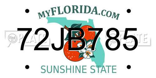 72JB785 Florida License Plate