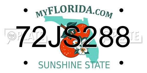 72JS288 Florida License Plate