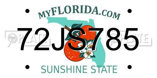 72JS785 Florida License Plate