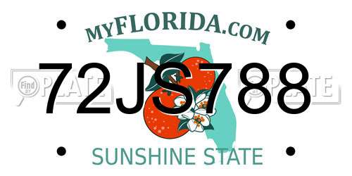 72JS788 Florida License Plate