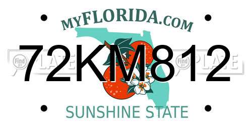 72KM812 Florida License Plate