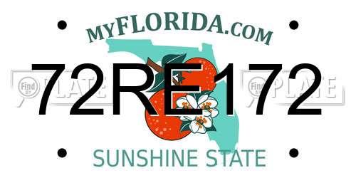72RE172 Florida License Plate