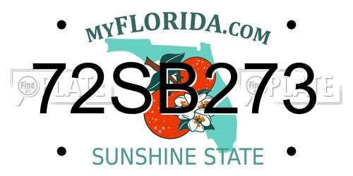 72SB273 Florida License Plate