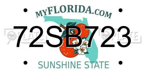 72SB723 Florida License Plate