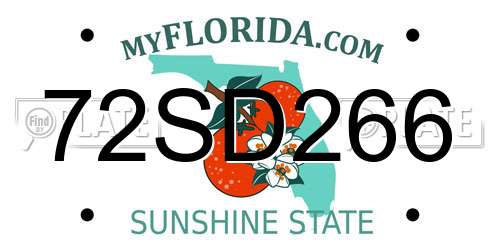 72SD266 Florida License Plate