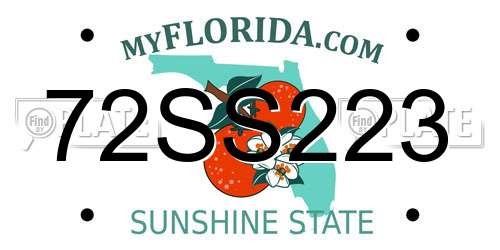 72SS223 Florida License Plate