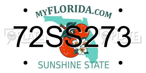 72SS273 Florida License Plate