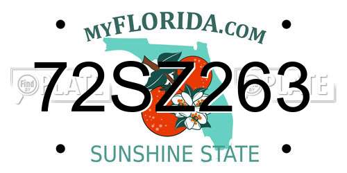 72SZ263 Florida License Plate