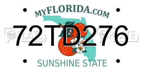 72TD276 Florida License Plate