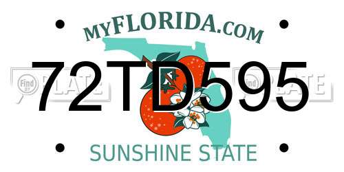 72TD595 Florida License Plate