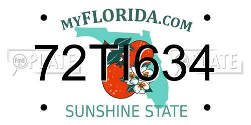 72TI634 Florida License Plate