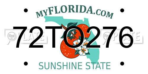72TO276 Florida License Plate